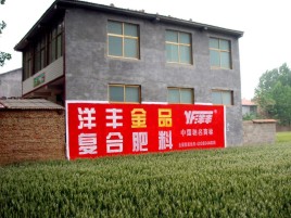 横州如何让墙体广告展现最大化效果