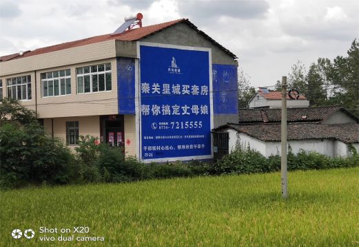 横州决定墙体广告价格的因素有哪些?