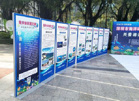 横州KT板的种类和知识。